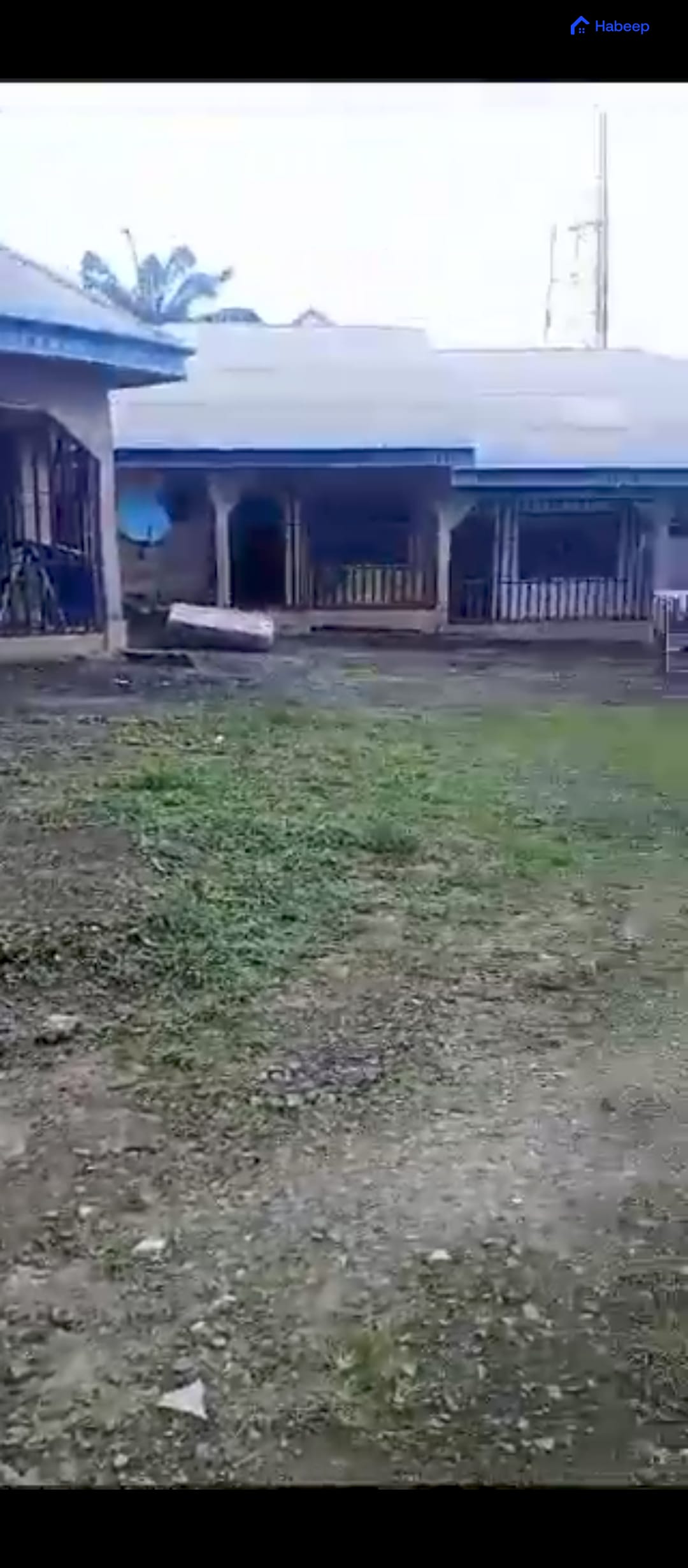 Media